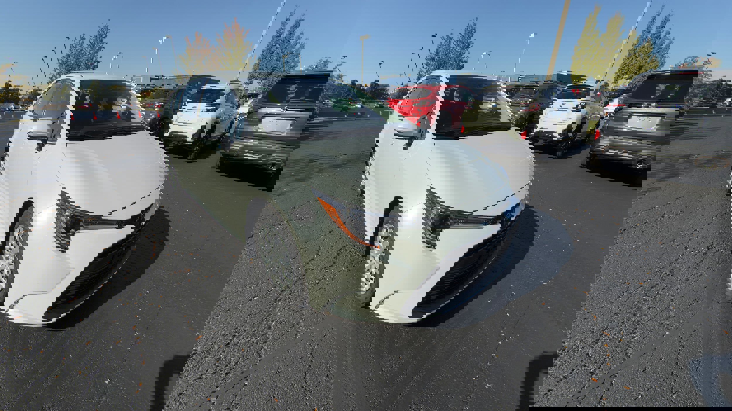 Used 2024 Toyota Corolla LE image 1