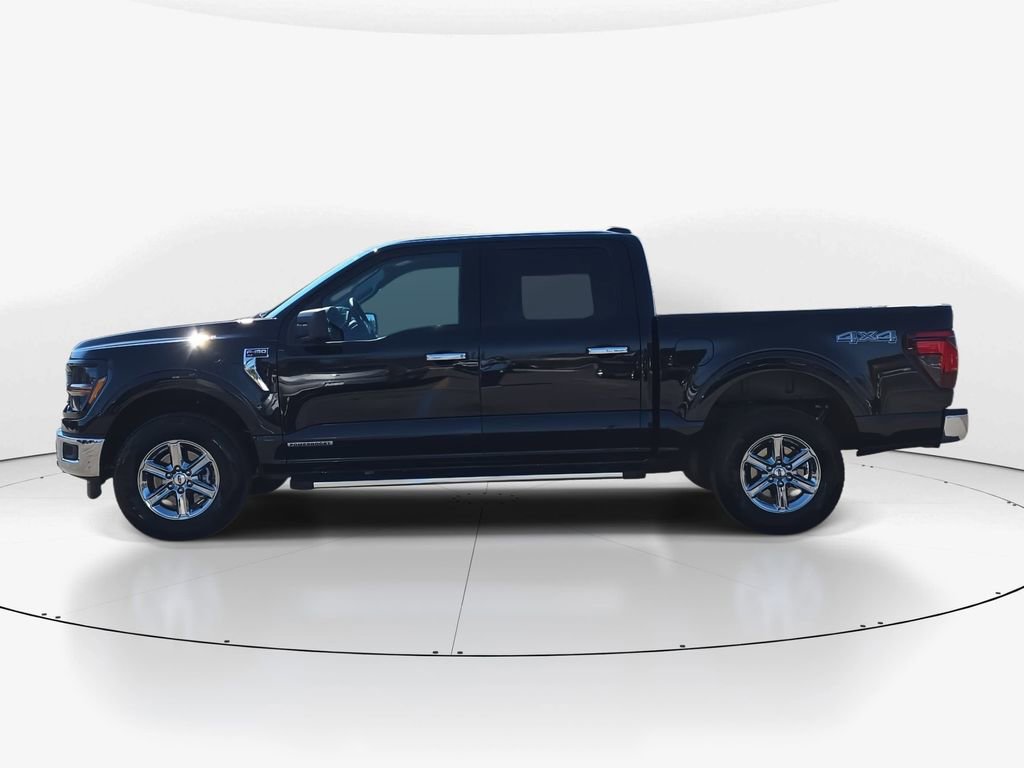 Used 2025 Ford F150 XLT w/ Equipment Group 301A Standard image 9