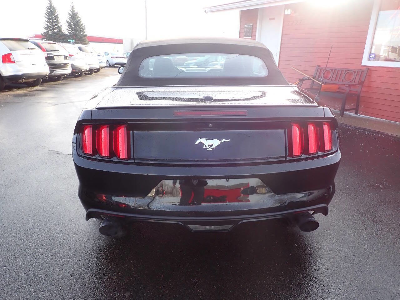 Used 2016 Ford Mustang Premium image 5