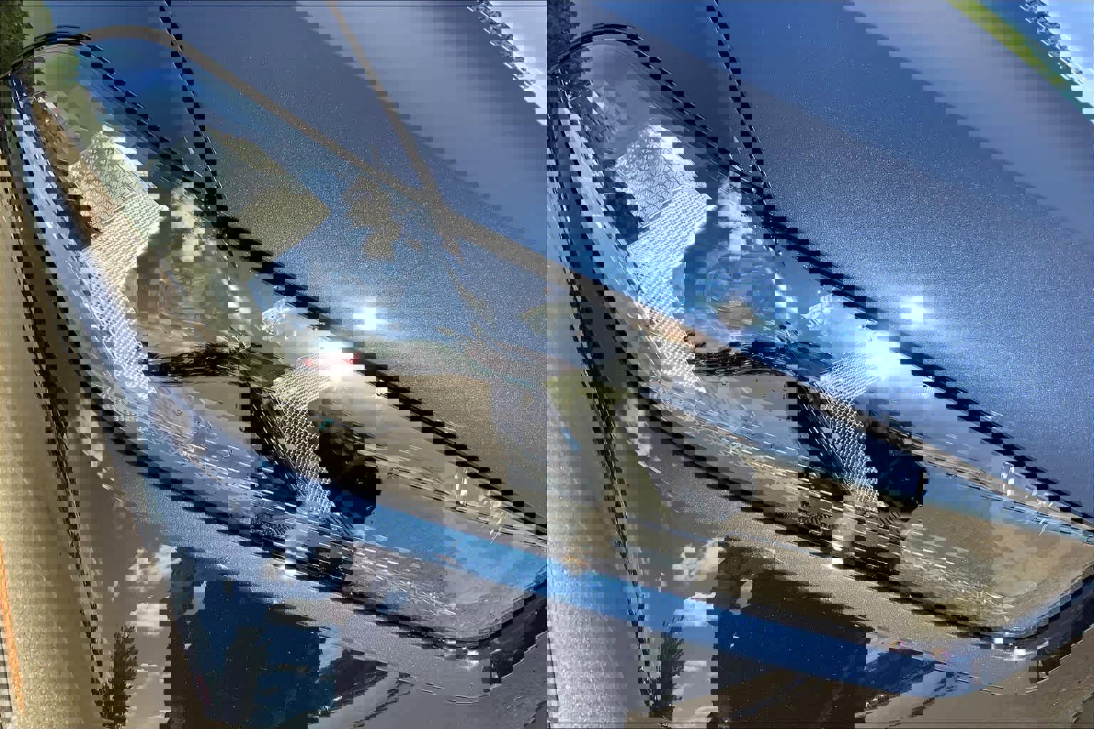 Used 2025 BMW X5 M Competition w/ Executive Package image 13