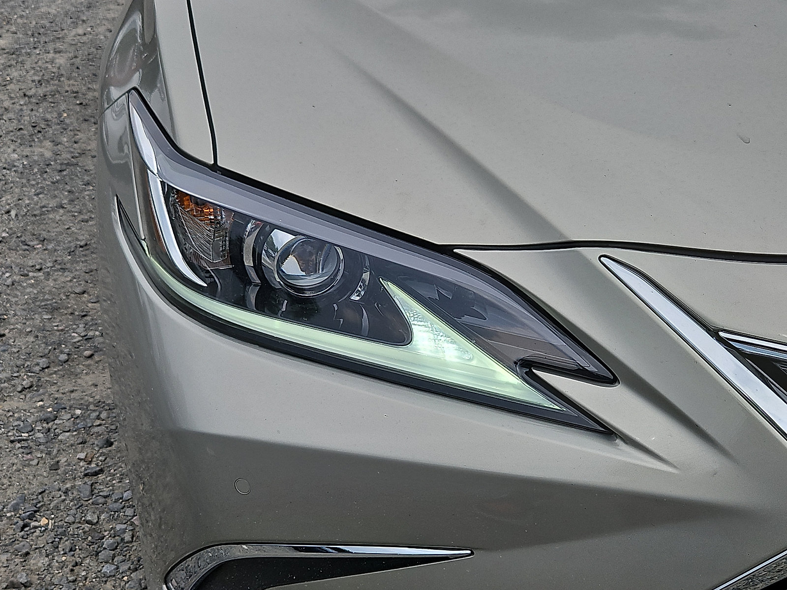 Used 2021 Lexus ES 250 w/ Premium Package AWD/4WD image 9