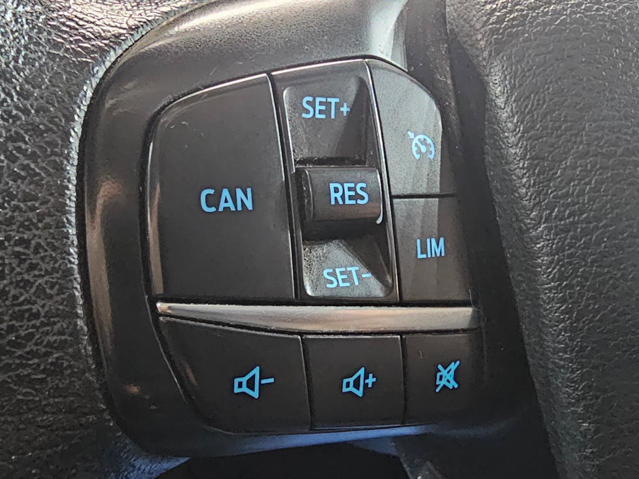 Used 2022 Ford Transit 250 Low Roof w/ Exterior Upgrade Package RWD image 24