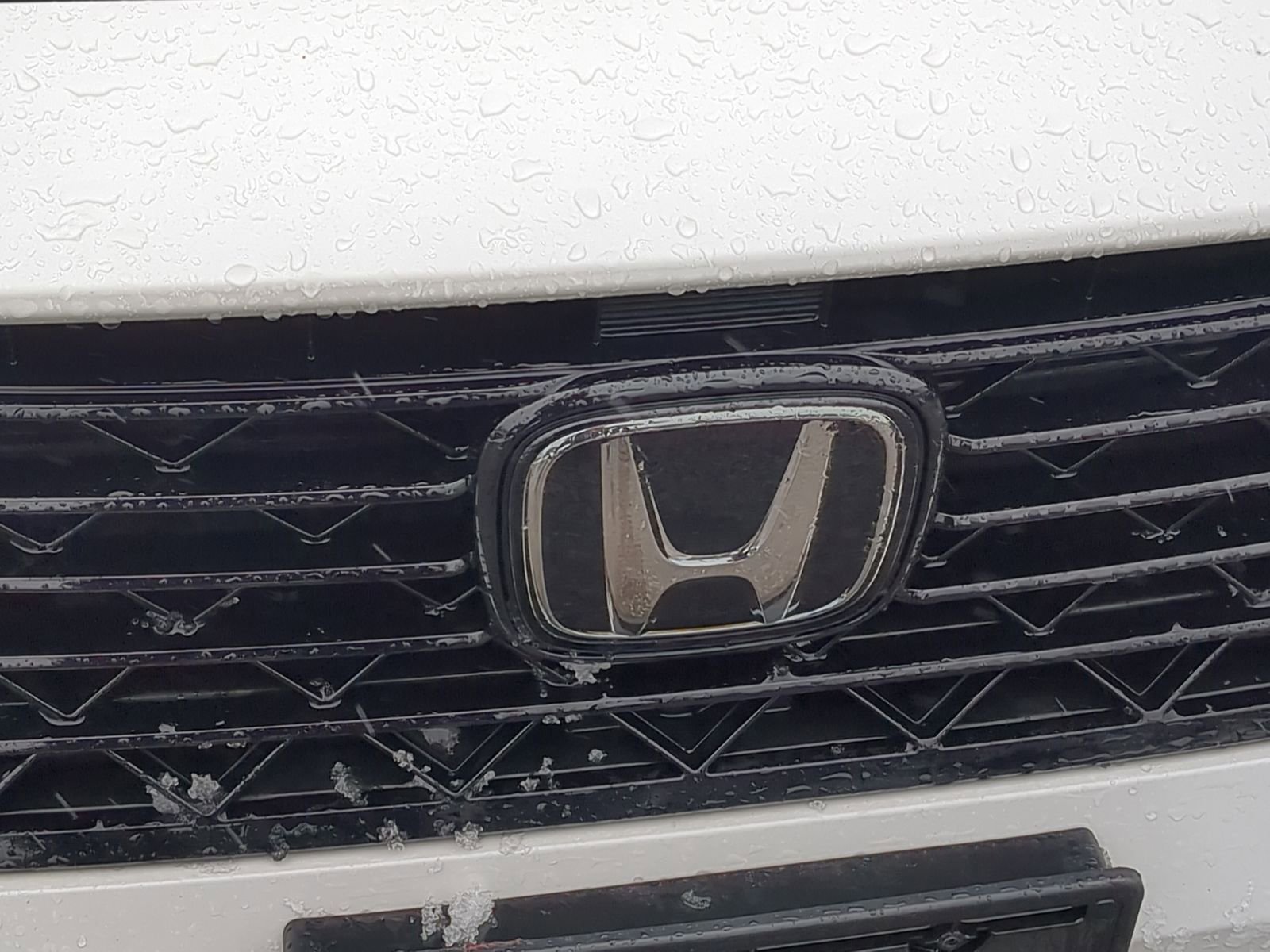 Used 2023 Honda Accord Sport image 14