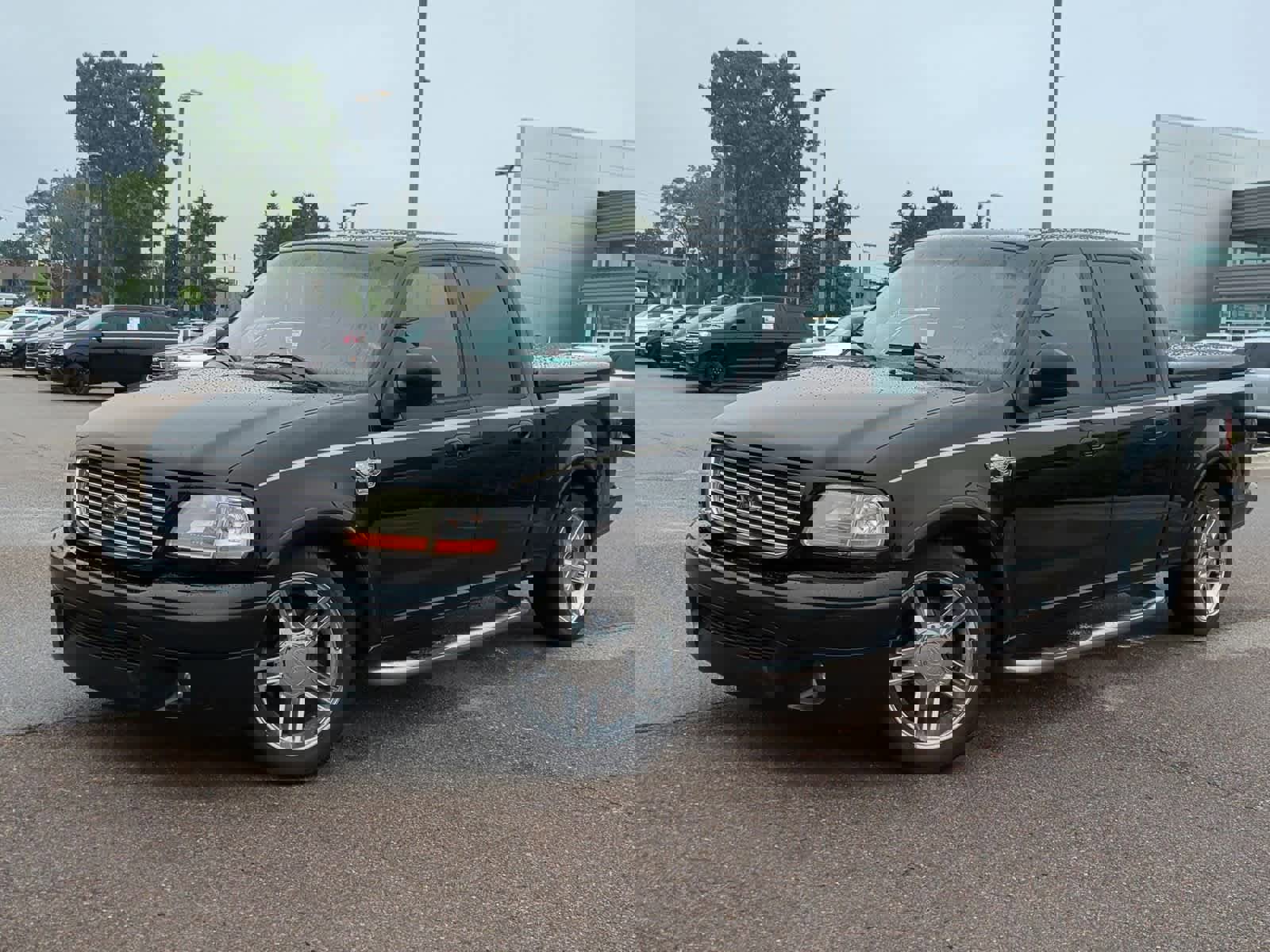 Used 2003 Ford F150 Harley-Davidson