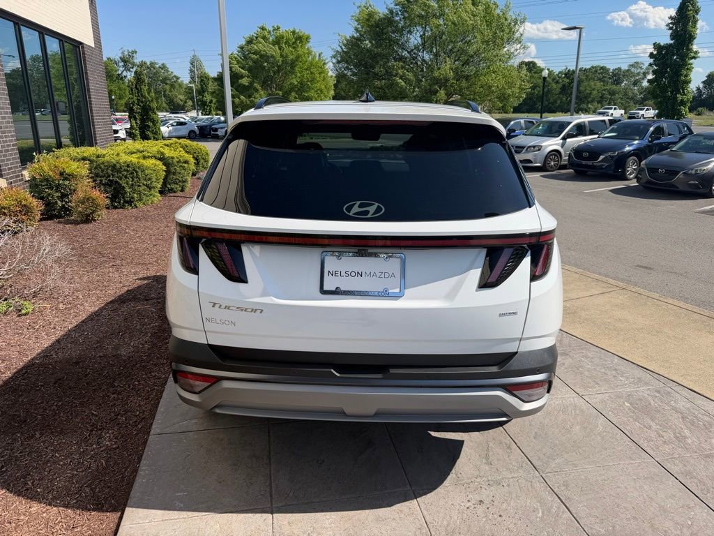 Used 2025 Hyundai Tucson Limited image 4
