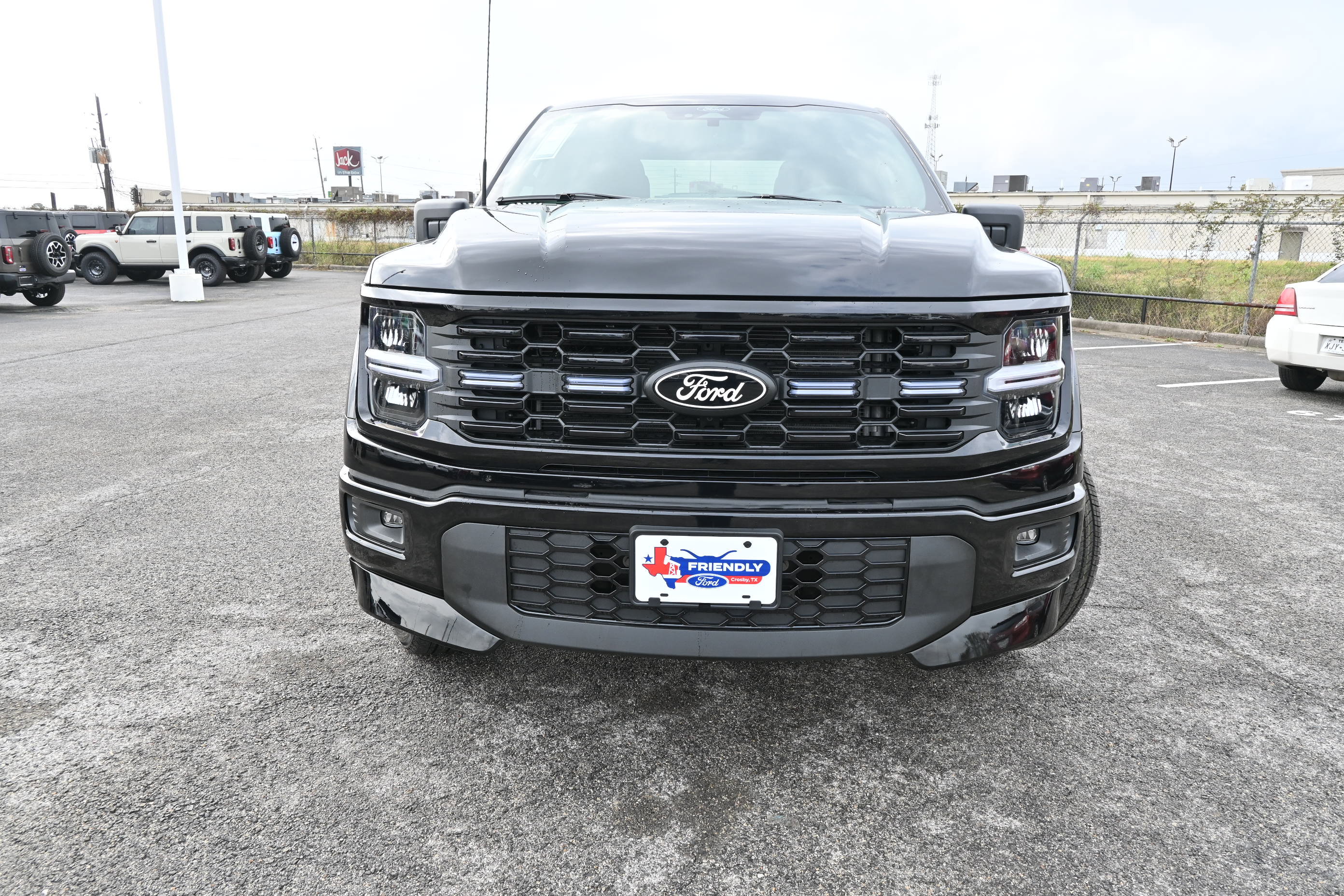 New 2025 Ford F150 STX w/ LOBO Package image 9
