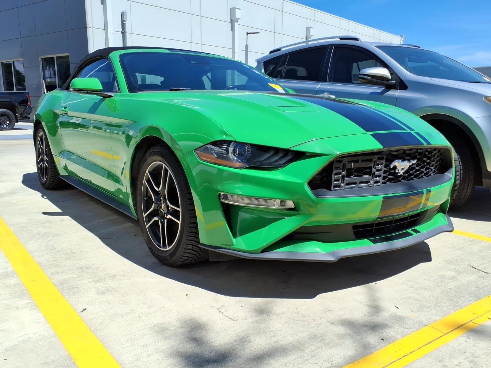 Used 2019 Ford Mustang Premium w/ Equipment Group 201A RWD image 3