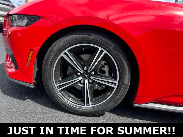 Used 2024 Ford Mustang Premium RWD image 9