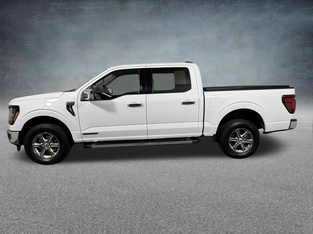 Used 2024 Ford F150 XLT w/ Equipment Group 302A MID AWD/4WD image 3