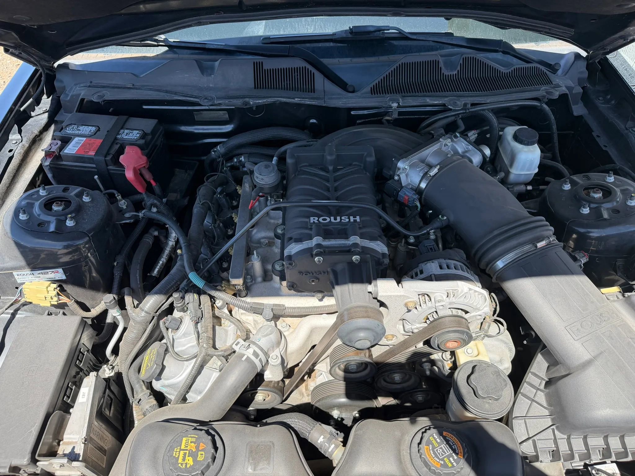 Used 2010 Ford Mustang GT RWD image 14