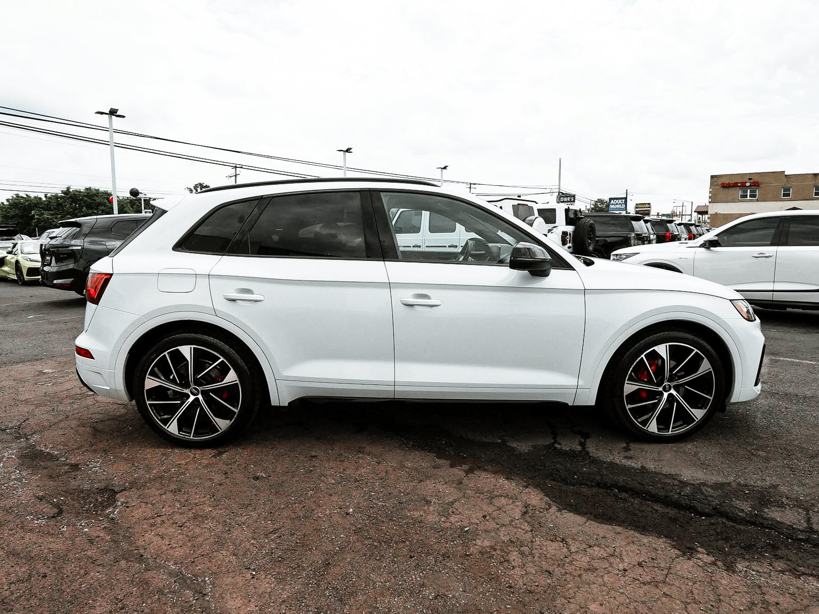 Used 2023 Audi SQ5 Premium Plus w/ Premium Plus Package AWD/4WD image 7