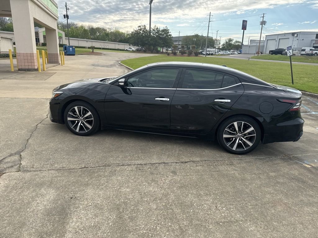 Used 2019 Nissan Maxima 3.5 SV w/ Floor Mat Group image 8