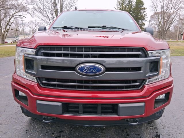 Used 2019 Ford F150 XLT w/ Equipment Group 302A Luxury image 3