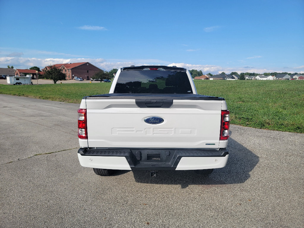 Used 2023 Ford F150 XL w/ STX Appearance Package AWD/4WD image 7