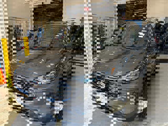 New 2025 Ford Escape ST-Line w/ Cold Weather Package image 3