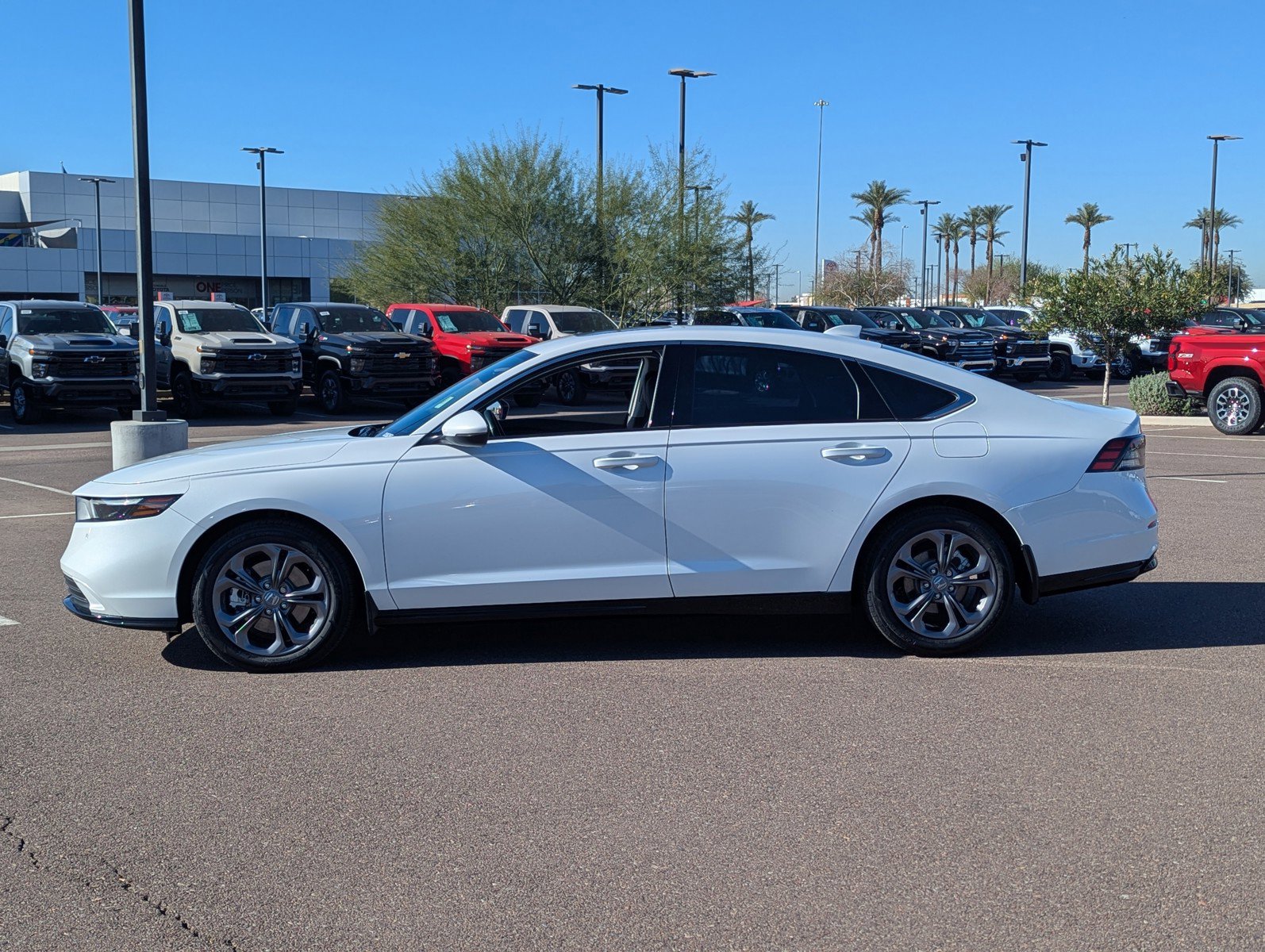 Used 2025 Honda Accord EX-L image 3