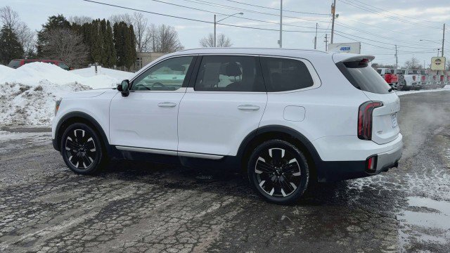 Used 2024 Kia Telluride SX w/ Towing Package image 6