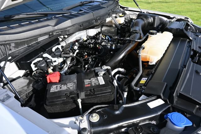 Used 2022 Ford F150 XL w/ STX Appearance Package AWD/4WD image 14