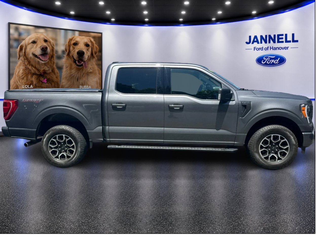 Used 2023 Ford F150 XLT w/ Equipment Group 302A High AWD/4WD image 4
