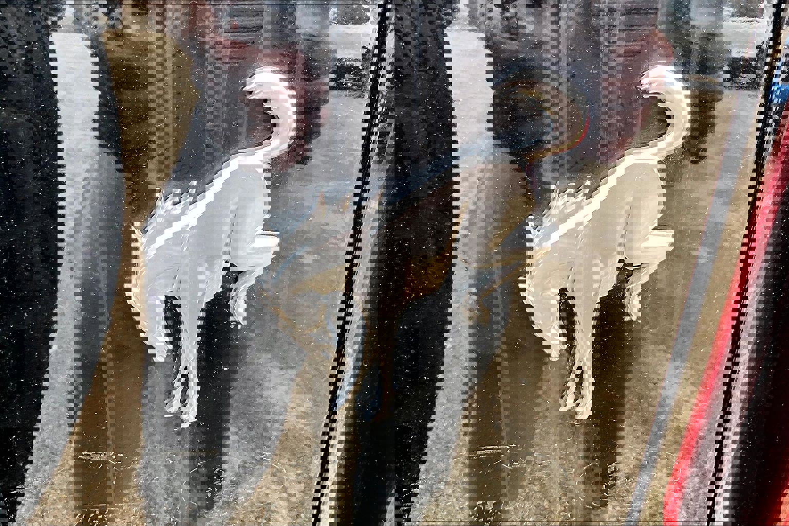 Used 2024 Ford Bronco Big Bend image 31