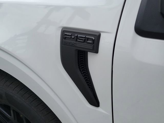 Used 2024 Ford F150 STX w/ STX Black Appearance Package RWD image 7