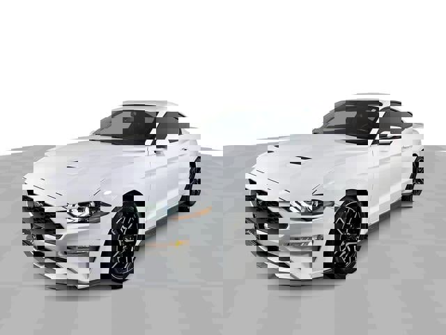 Used 2019 Ford Mustang Premium w/ Equipment Group 201A RWD image 4