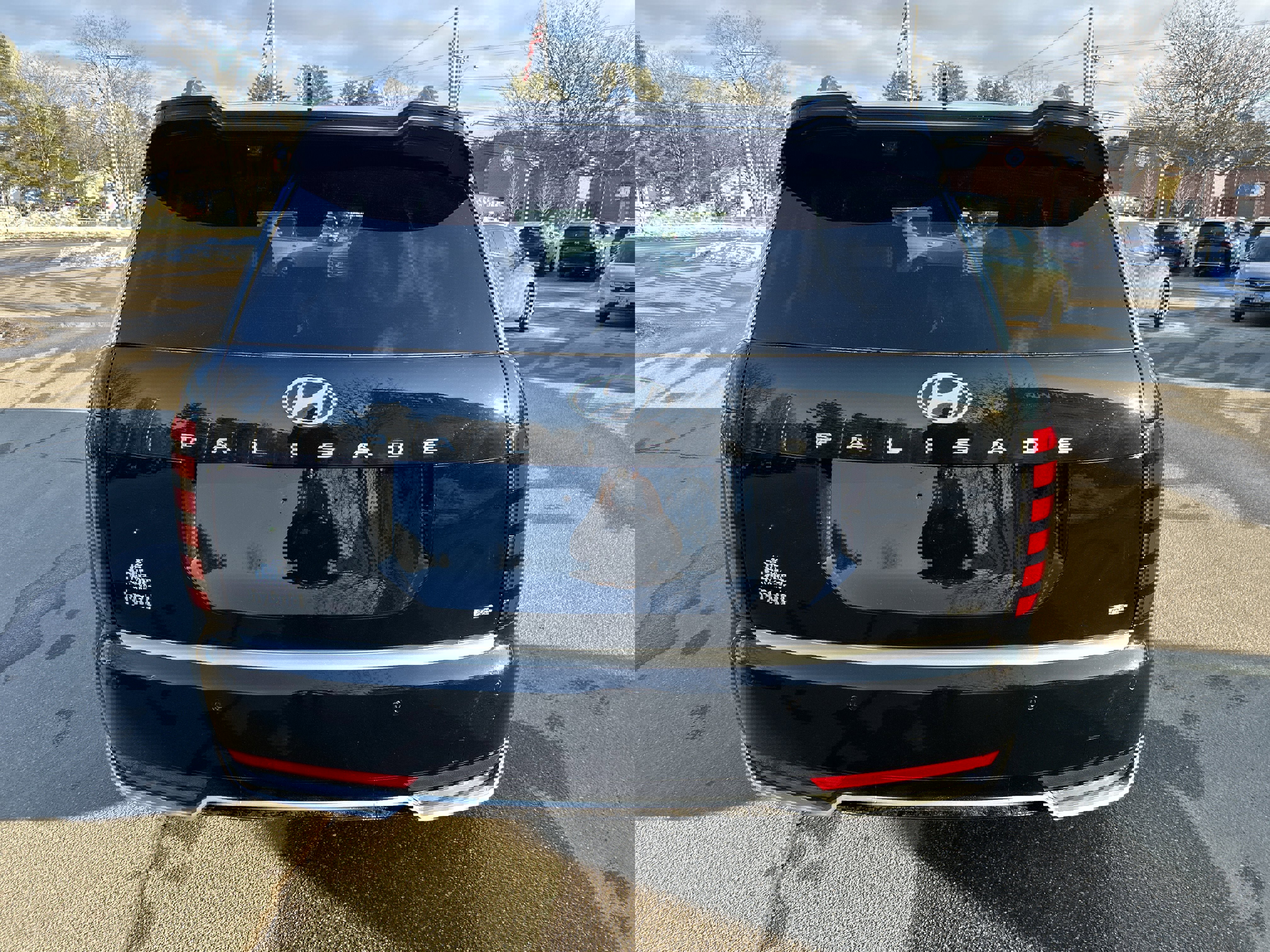 New 2026 Hyundai Palisade Calligraphy image 6