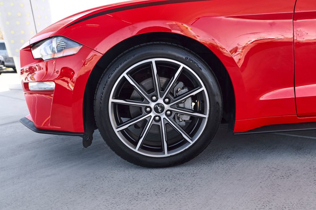 Used 2019 Ford Mustang Premium w/ Equipment Group 201A RWD image 3