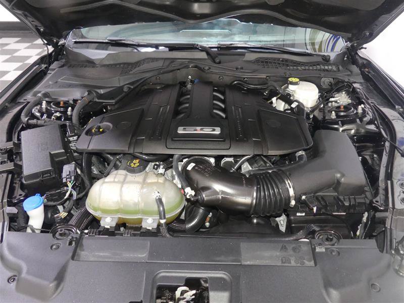 Used 2023 Ford Mustang GT Premium w/ Mustang Nite Pony Package RWD image 12