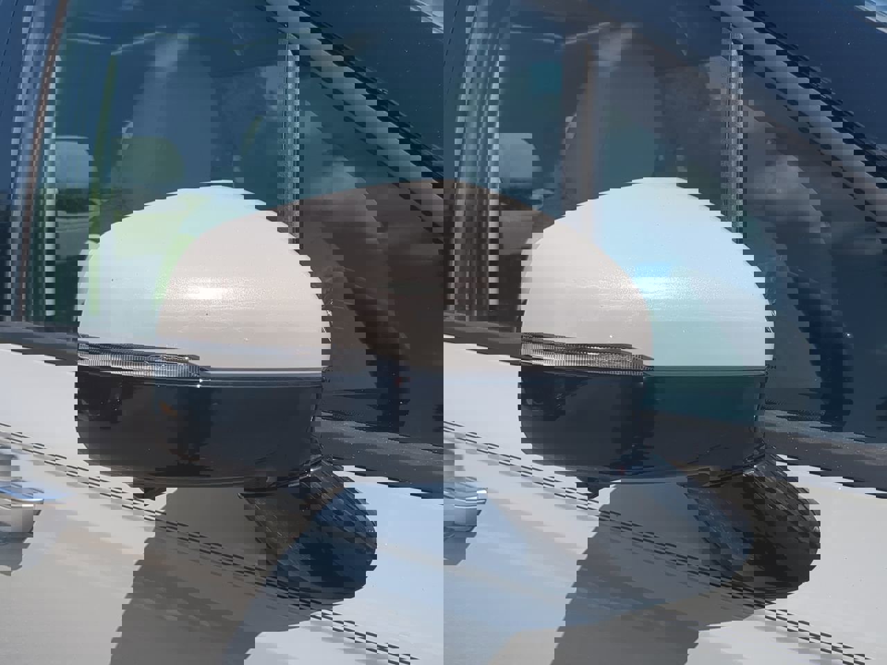 New 2026 Kia Carnival SX image 11