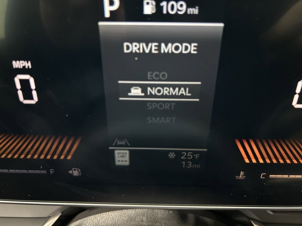 New 2026 Kia Carnival image 20