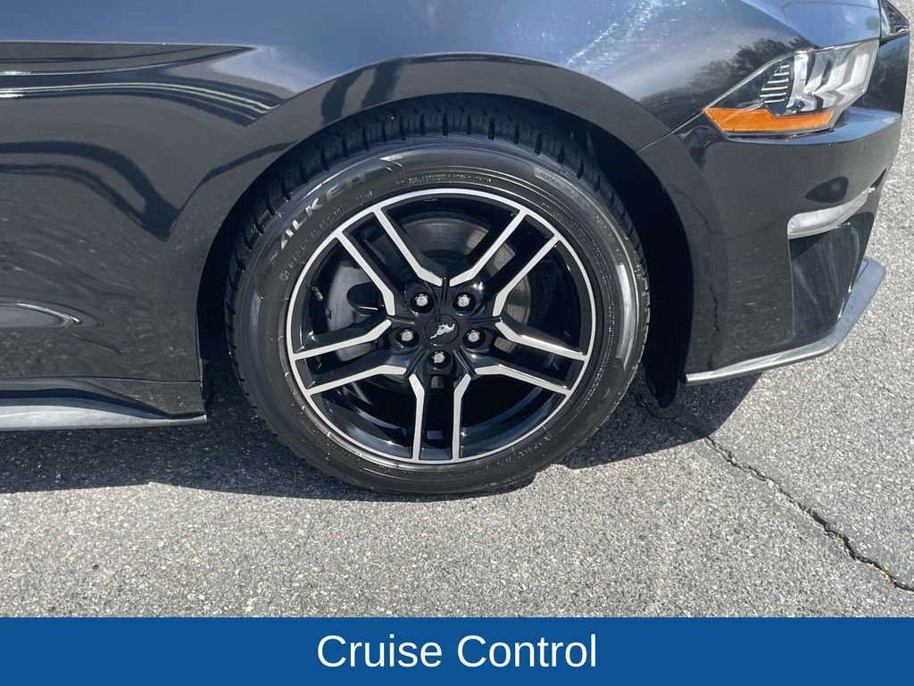 Used 2020 Ford Mustang EcoBoost w/ Equipment Group 101A image 11