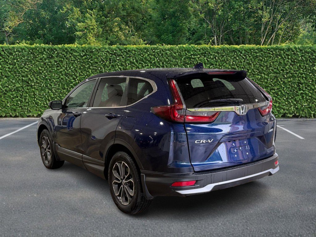 Used 2022 Honda CR-V EX-L image 6