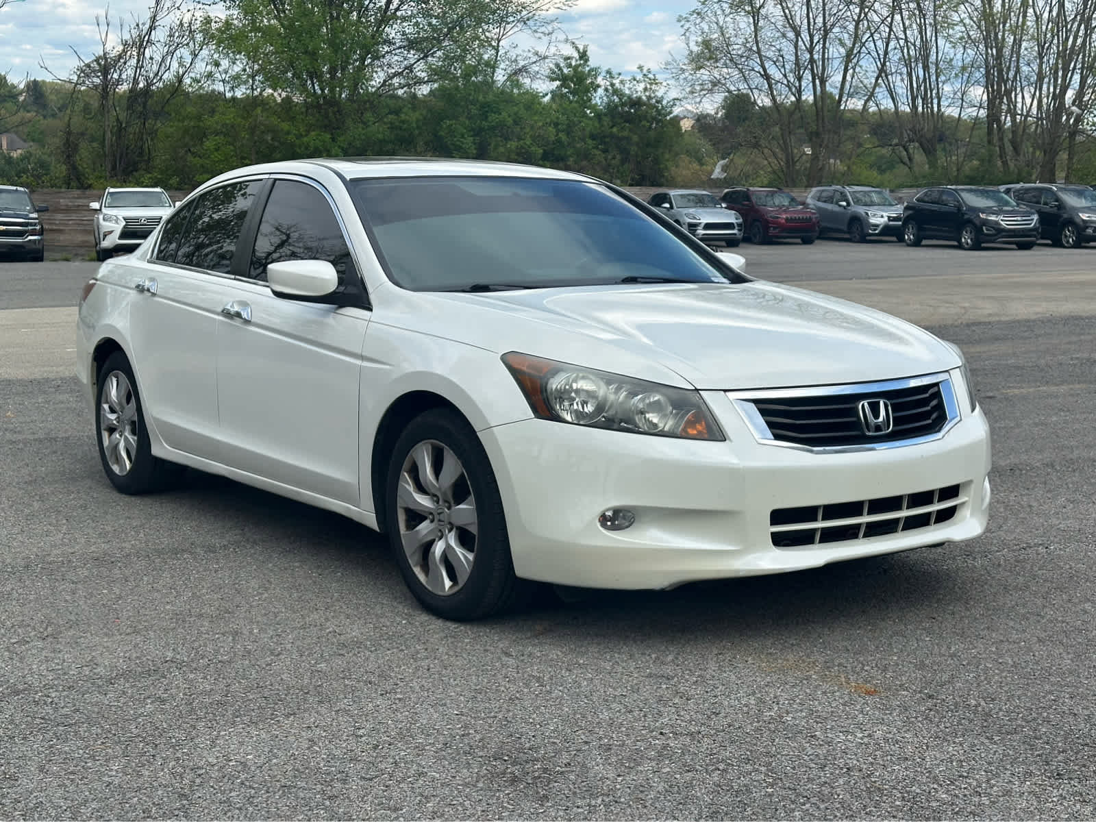 Used 2009 Honda Accord EX-L image 3