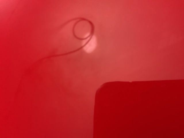 New 2026 Chevrolet Corvette Z06 w/ Battery Protection Package image 29