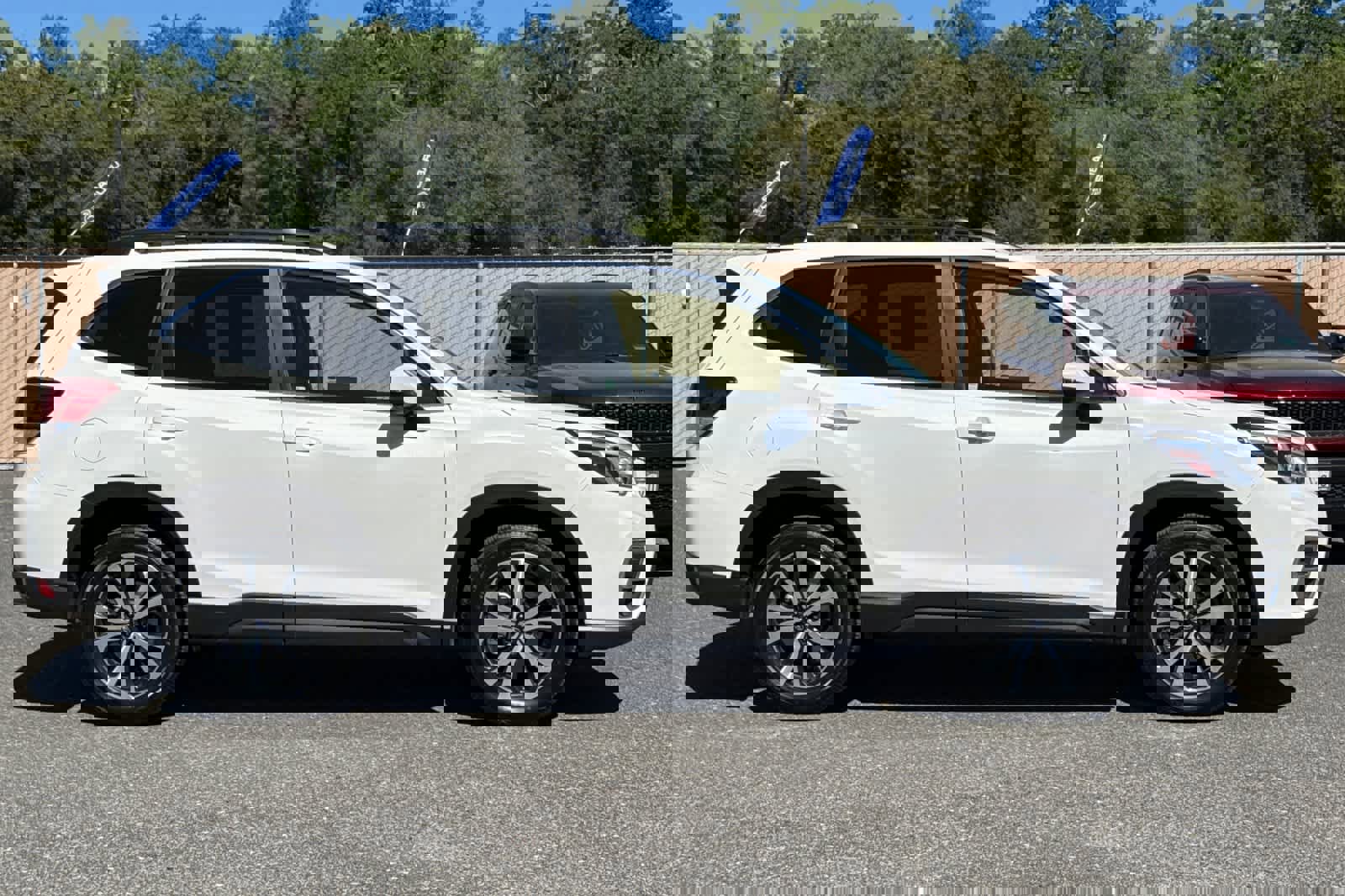 Used 2019 Subaru Forester Limited image 2