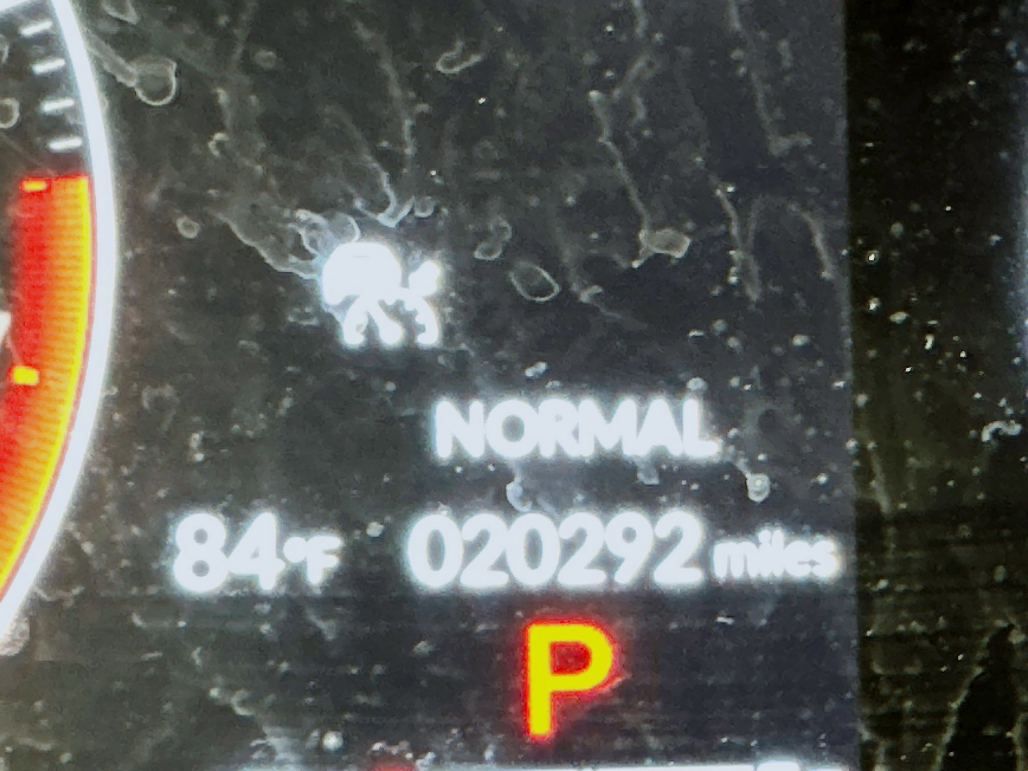 Used 2025 Honda Pilot EX-L image 19