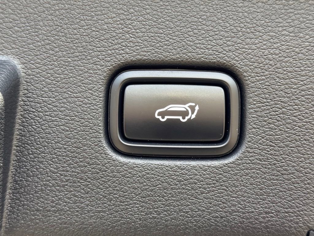 Used 2025 Kia Sportage X-Line Prestige image 14