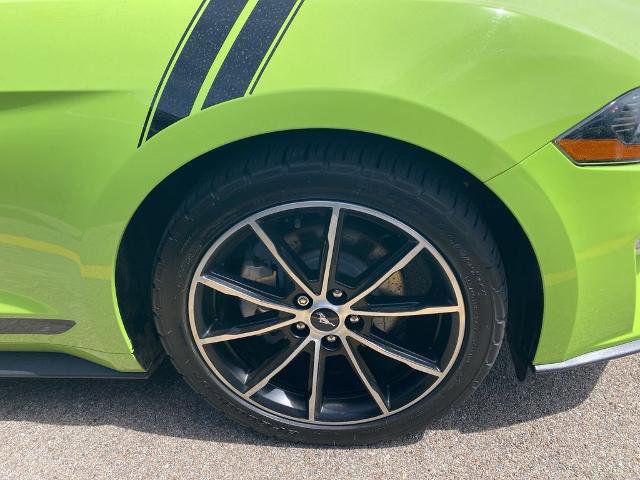 Certified 2020 Ford Mustang Premium w/ Equipment Group 201A RWD image 4