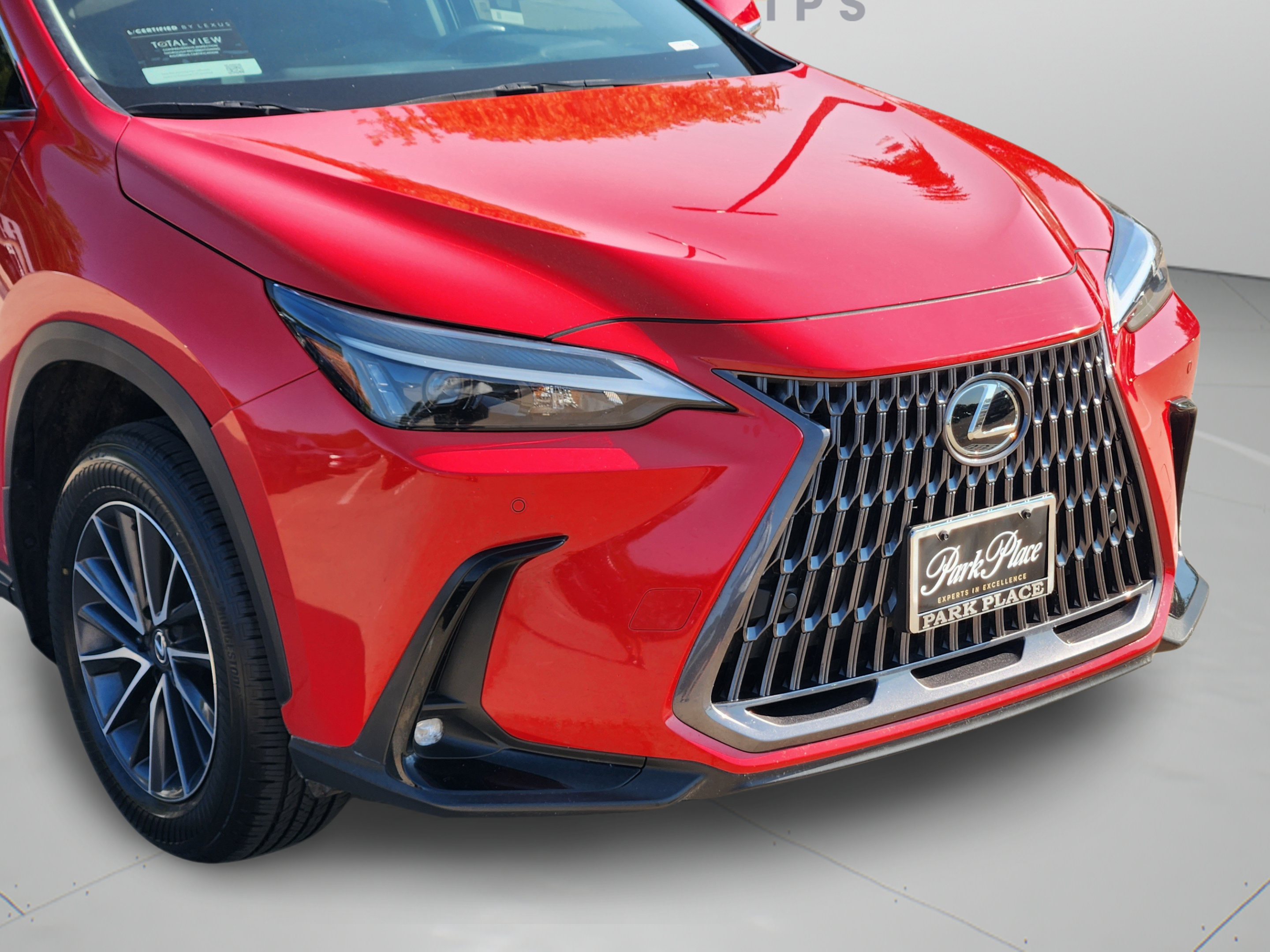 Certified 2025 Lexus NX 250 FWD w/ Cold Area Package image 35