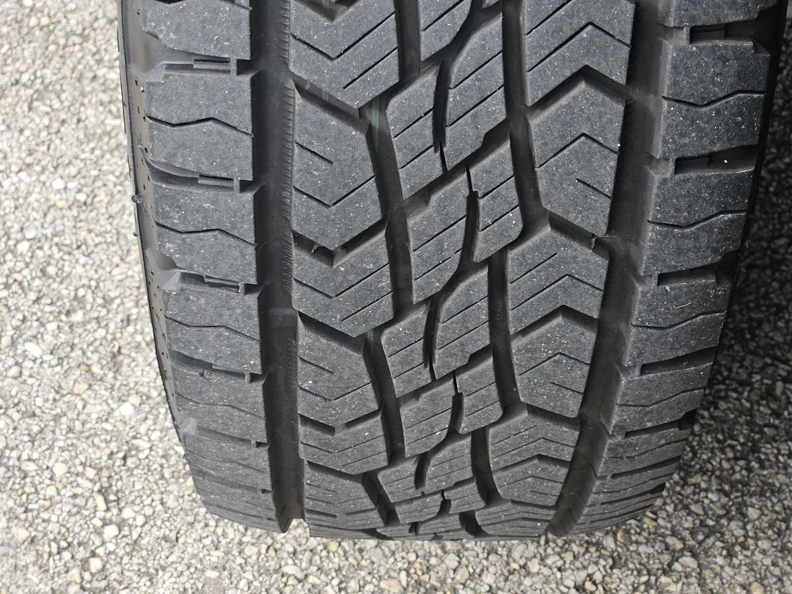 Certified 2026 Honda Pilot TrailSport image 10