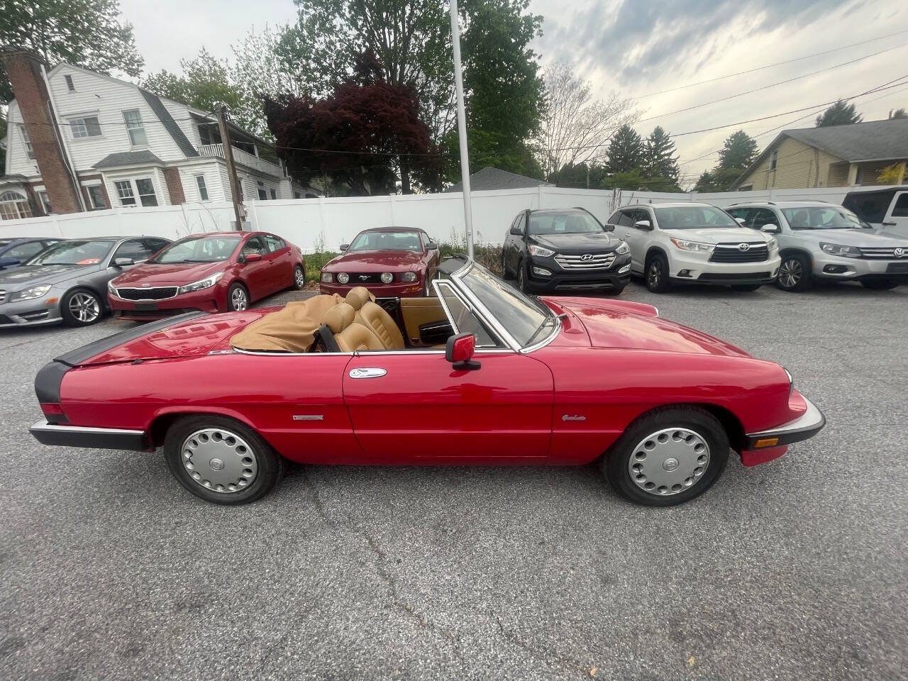 Used 1990 Alfa Romeo Spider Graduate RWD image 5