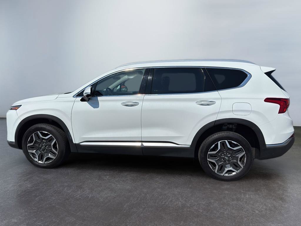 Used 2023 Hyundai Santa Fe SEL Premium image 8
