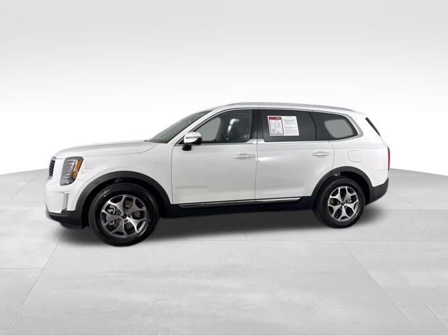 Certified 2022 Kia Telluride EX image 5