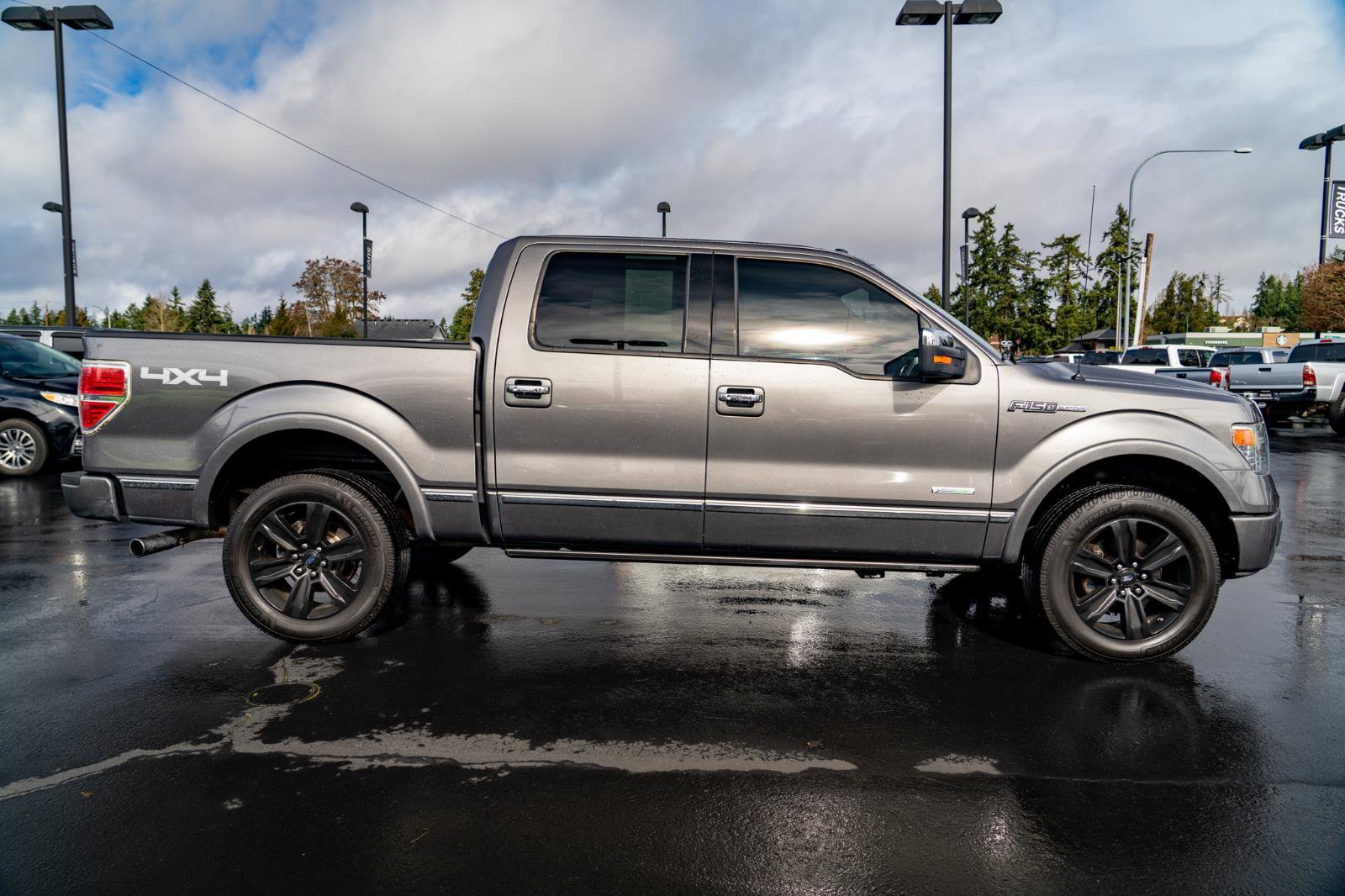 Used 2013 Ford F150 Platinum AWD/4WD image 11