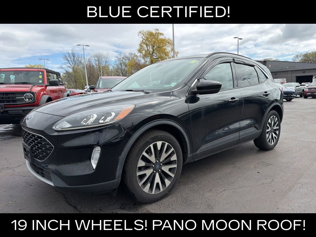 Used 2020 Ford Escape SEL image 3