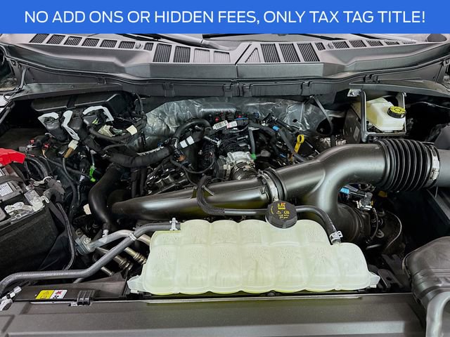 New 2025 Ford F150 STX w/ Equipment Group 200A image 28