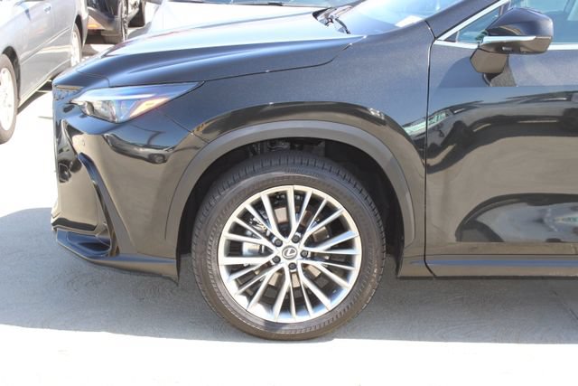 Certified 2025 Lexus NX 350h AWD w/ Cold Area Package image 4