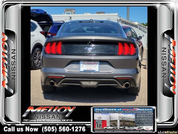 Used 2019 Ford Mustang EcoBoost image 5