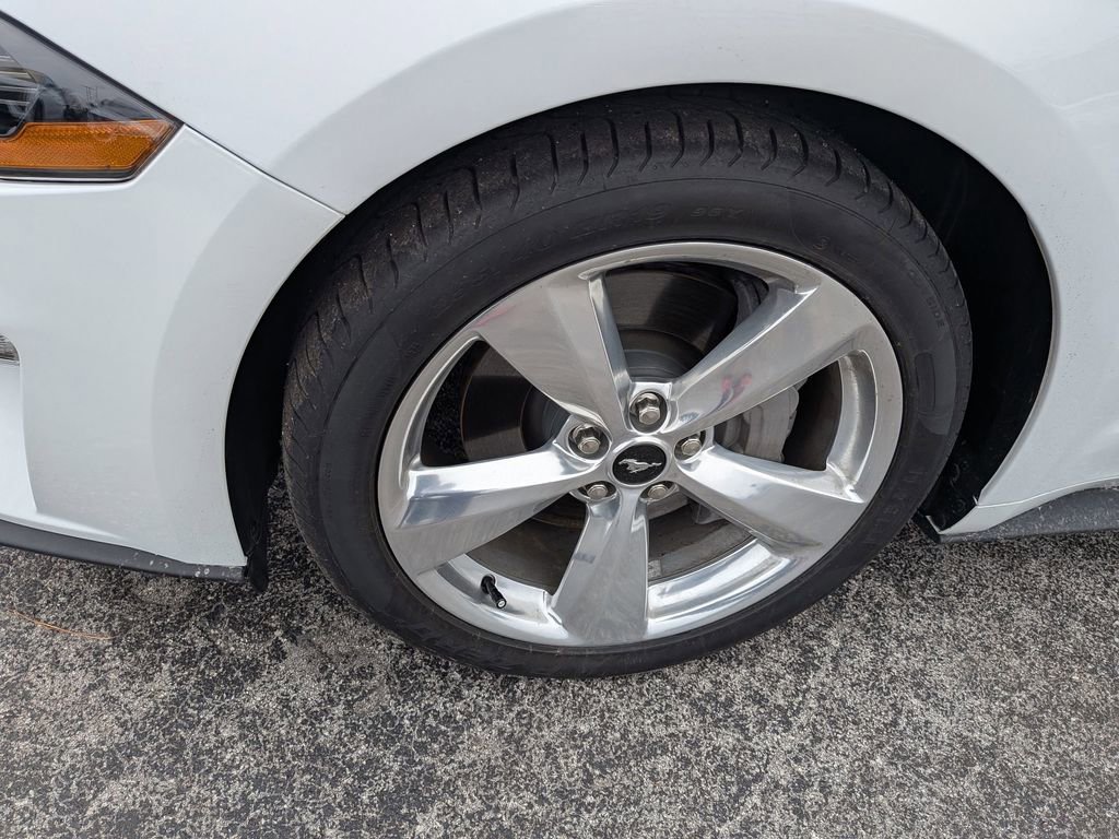 Used 2019 Ford Mustang GT Premium w/ Equipment Group 401A image 10